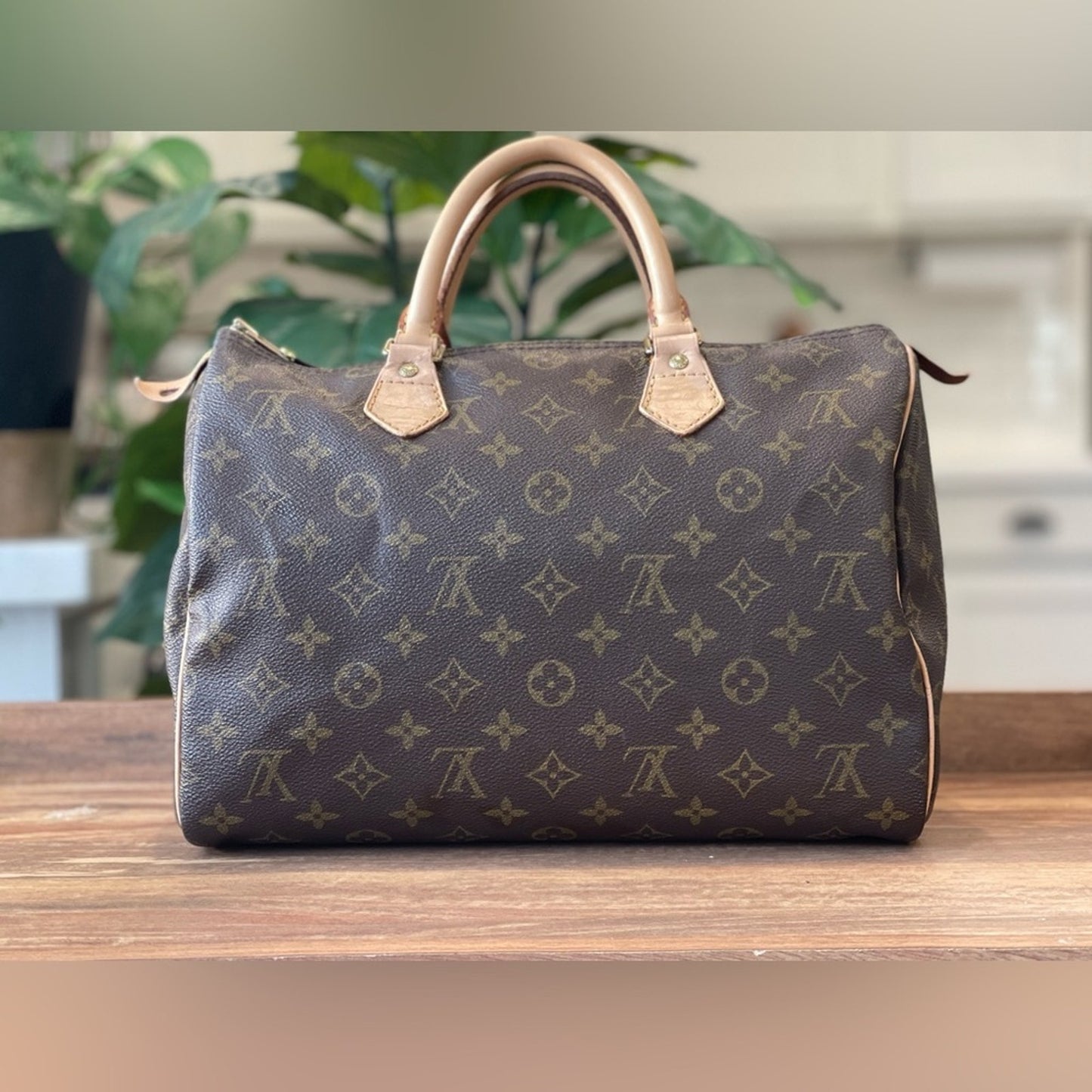 Authentic Louis Vuitton LV Monogram Speedy 30 Tote