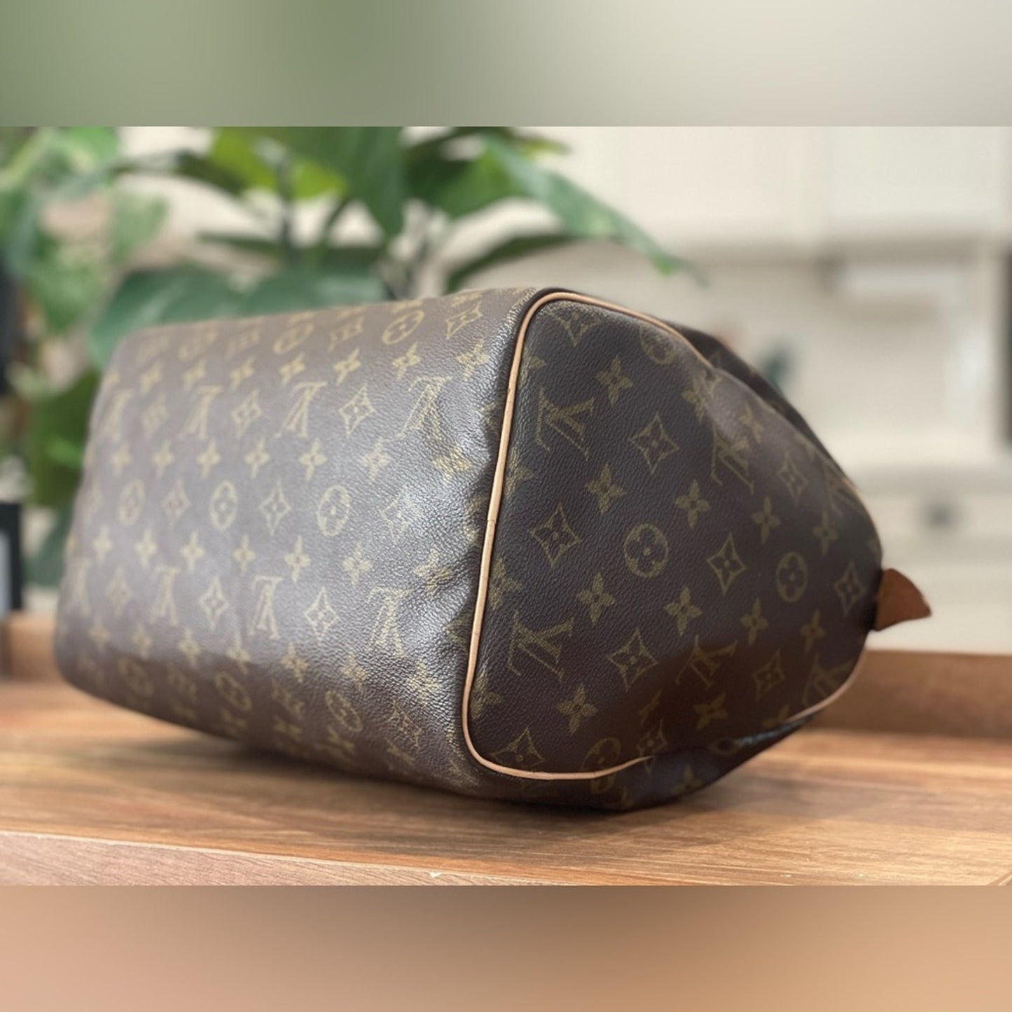 Authentic Louis Vuitton LV Monogram Speedy 30 Tote