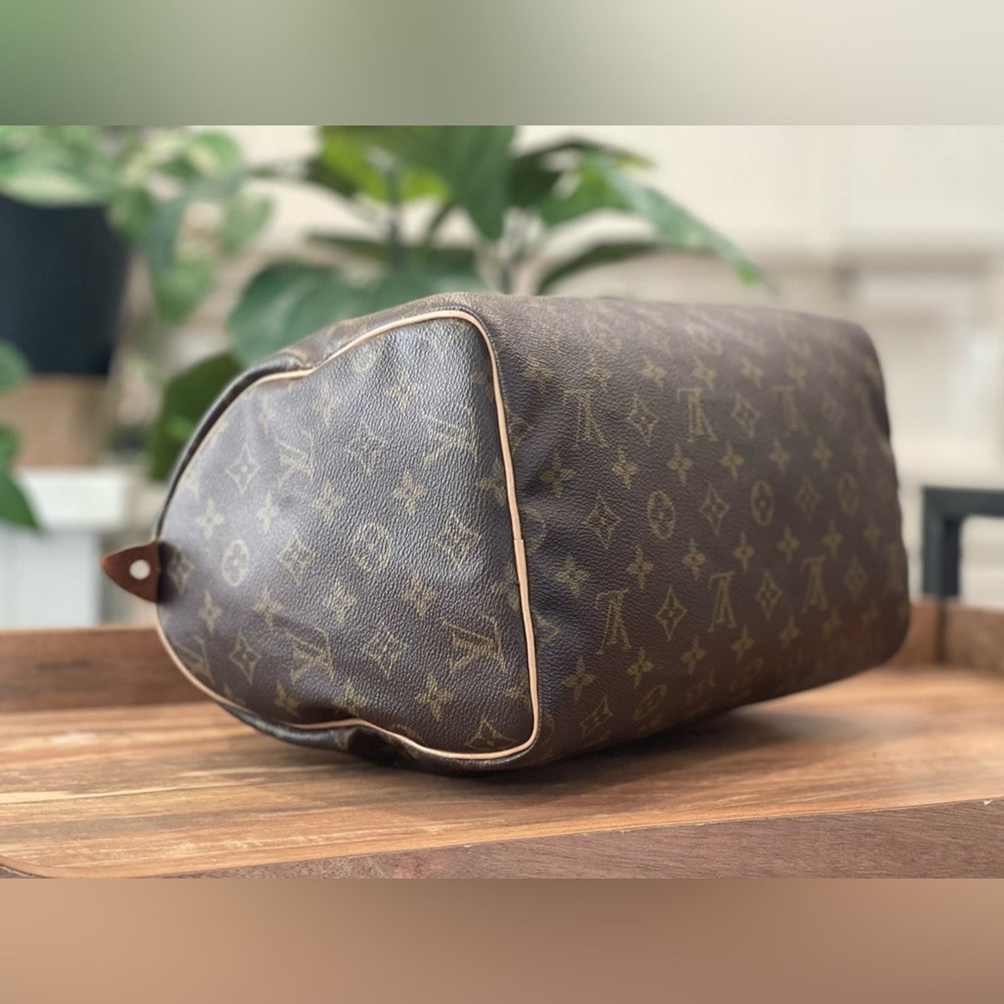 Authentic Louis Vuitton LV Monogram Speedy 30 Tote